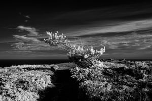 Île de Groix. Demander à l’aveugle de nous apprendre à voir.