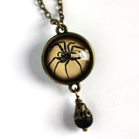 Image 1 of Spider Illustration Pendant Necklace