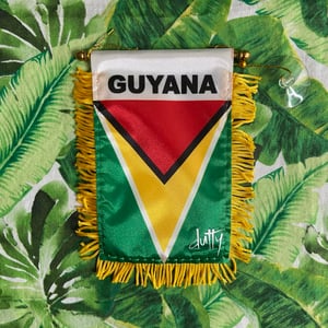 Image of Guyana Mini Banner