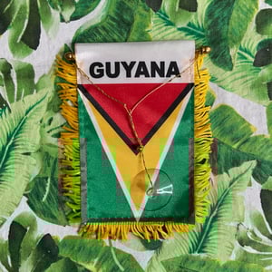 Image of Guyana Mini Banner