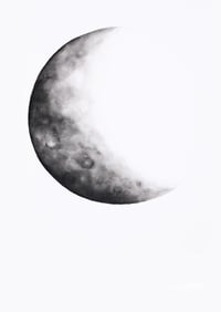 Crescent Moon 