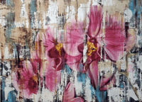 Image 1 of Orchids