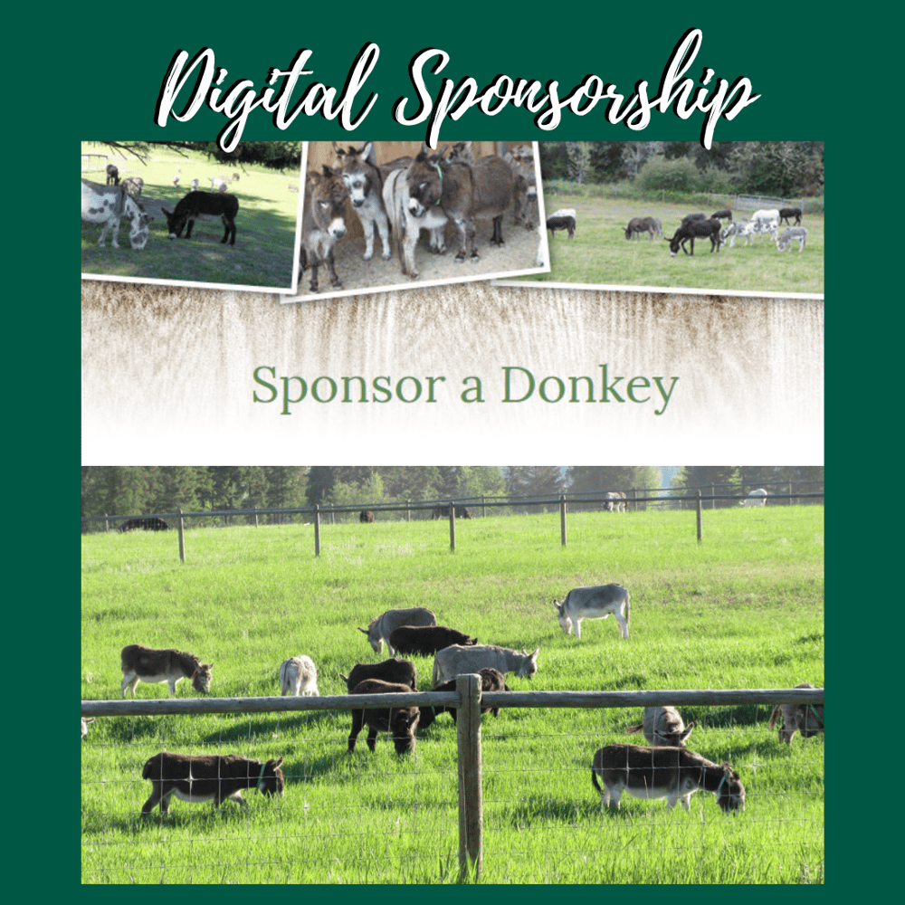Image of Donkey Sponsorship - Digital Instant Download