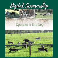 Image 1 of Donkey Sponsorship - Digital Instant Download