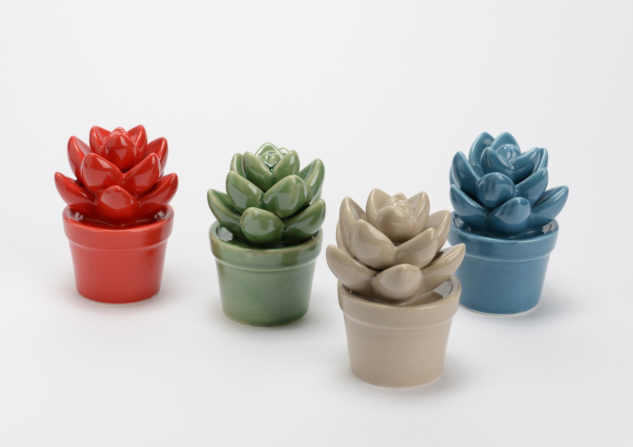 Cactus in vaso di ceramica di Frida's - Ordina online su Cosaporto Cactus in vaso di ceramica di Frida's - Ordina online su Cosaporto