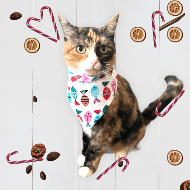 Cat best sale christmas bandana