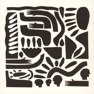 Image of Salomo - Reflecting Pools - LP (Vary)
