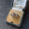 Nellie Ring Set