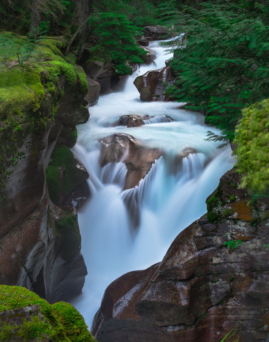Image of Avalanche Creek