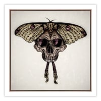 Skull Moth - 10x10" PRINT