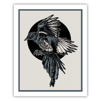 Magpie - 8x10" PRINT