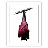 Bat - 8x10" PRINT