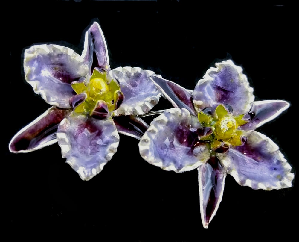 Image of  Australian Wildfowers – Vanilla Lilies Earring 