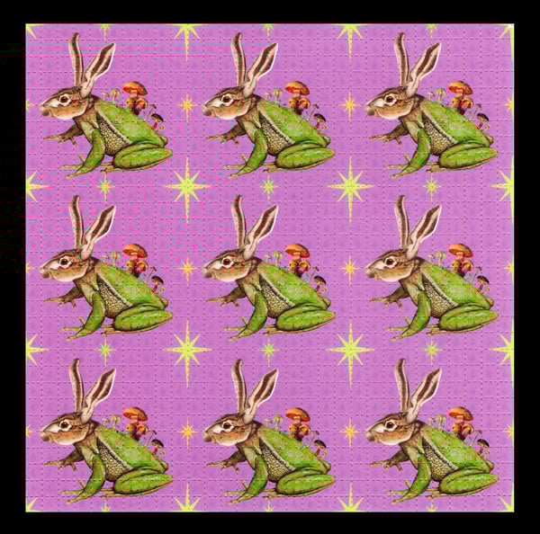 Image of HYBRID FROG/ BLOTTER ART