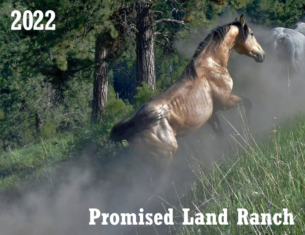 2022 Promised Land Ranch Calendar | Joel Kretz Art