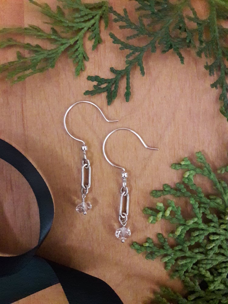 Image of Sleek Silver Drop Earrings 5RH