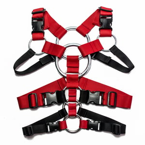 Image of TACTICAL HARNESS RG_01 / RED - BLACK /