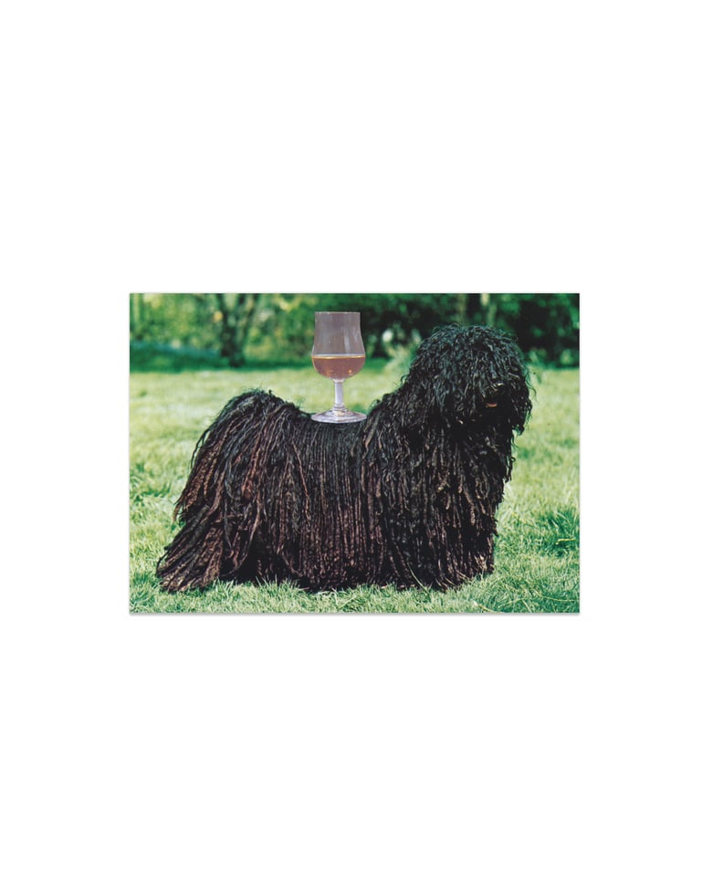 Image of YOU RUN AROUND.... - postcard