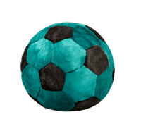 Soccer Ball