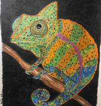 Image 2 of Chameleon 