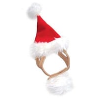 Image 1 of Santa Hat - Dogo Fashion