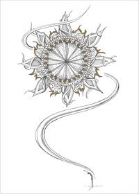 Image 1 of Sun Salutation