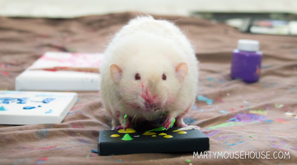 Image of Commission your own Rat Art!  