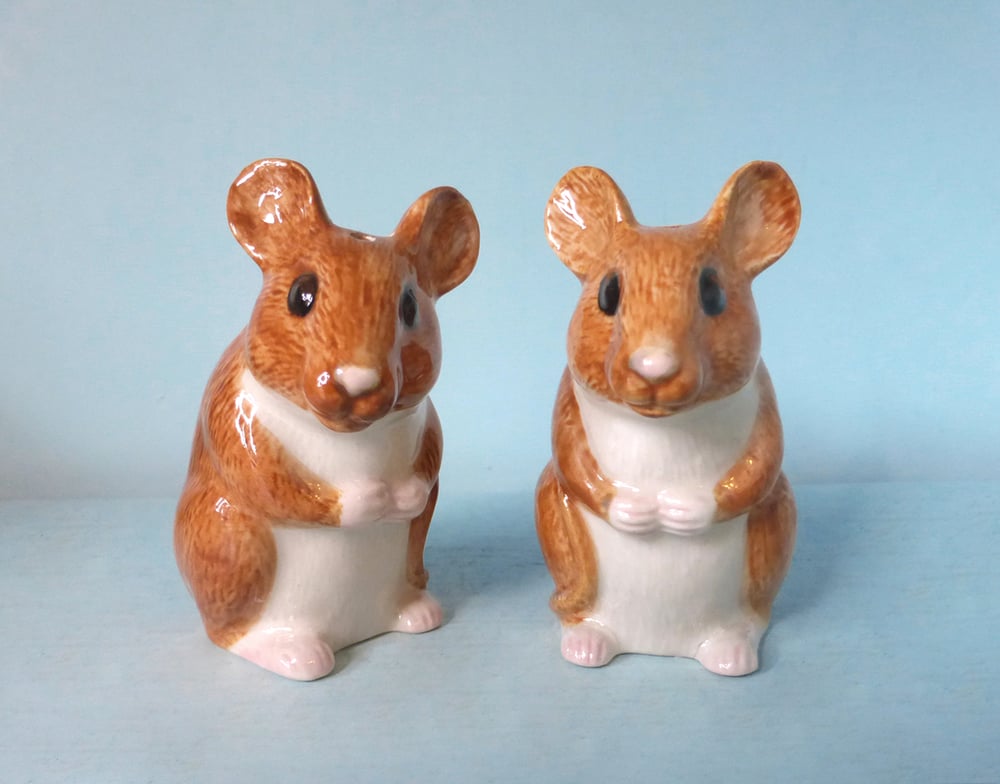 Image of Mouse Salt and Pepper