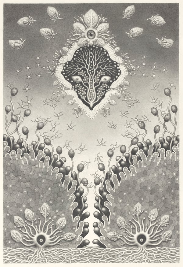 Image of Nature Spirit 2 Fine Art Print