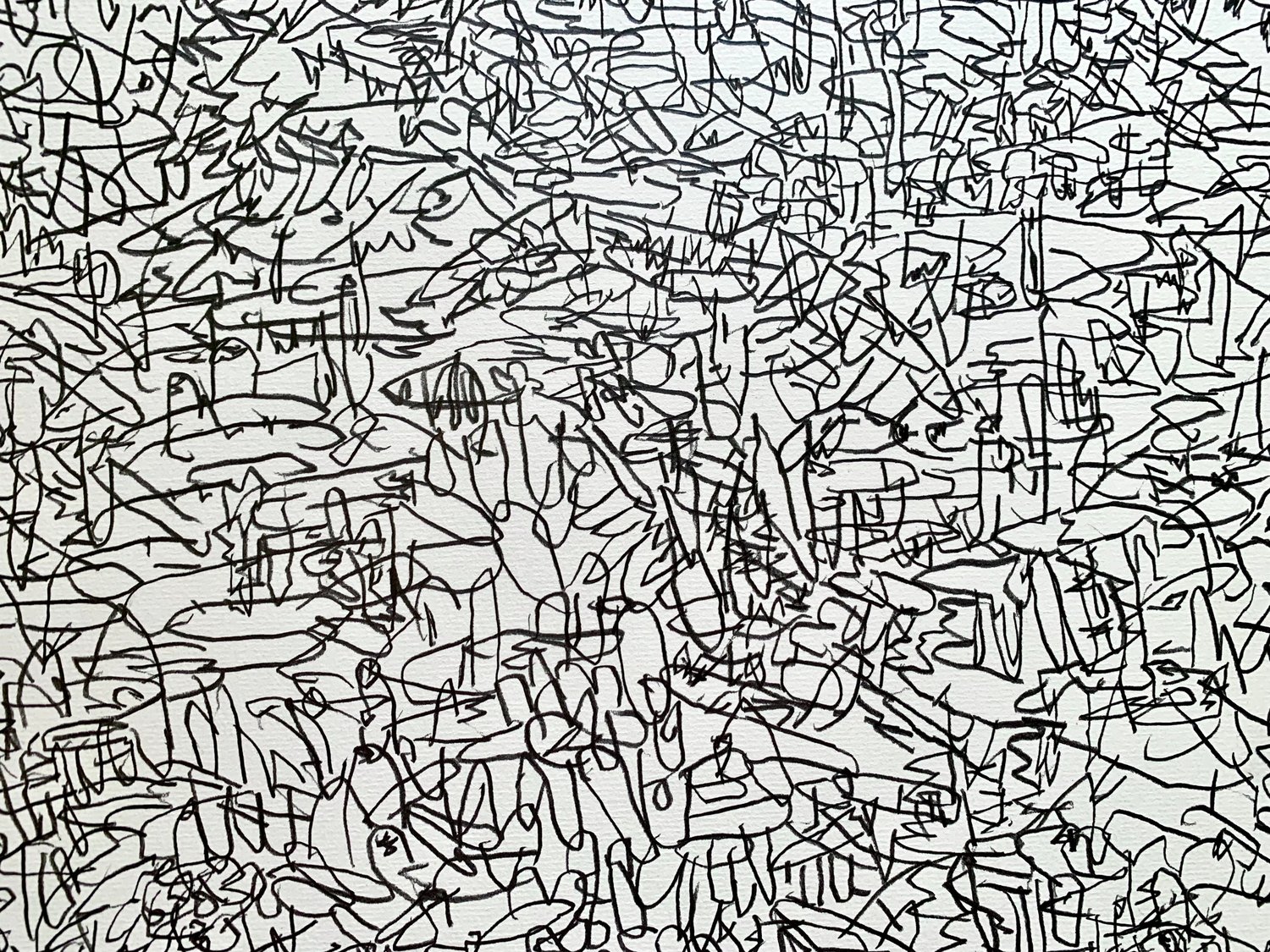 Image of surveying land #2