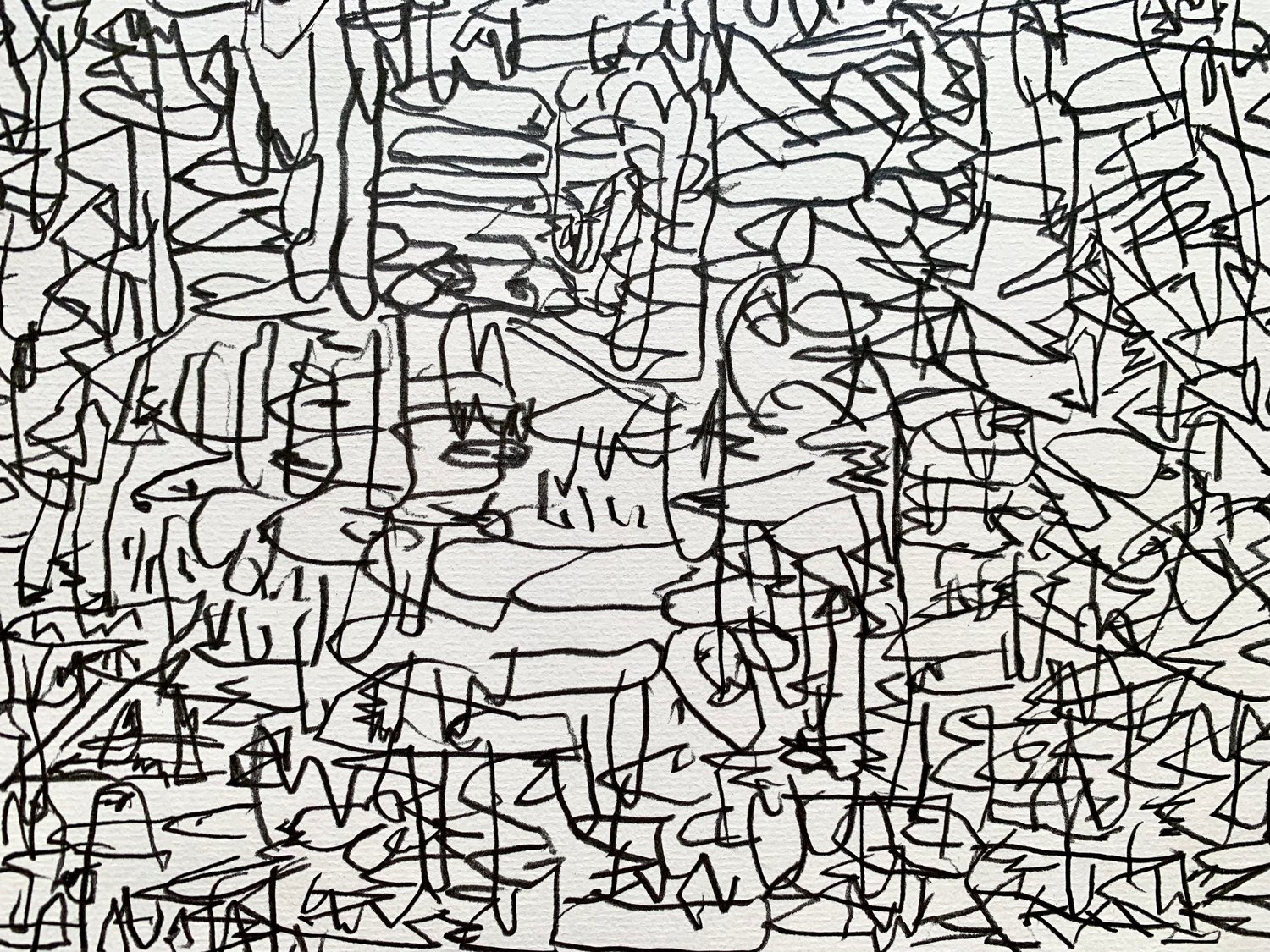 Image of surveying land #2