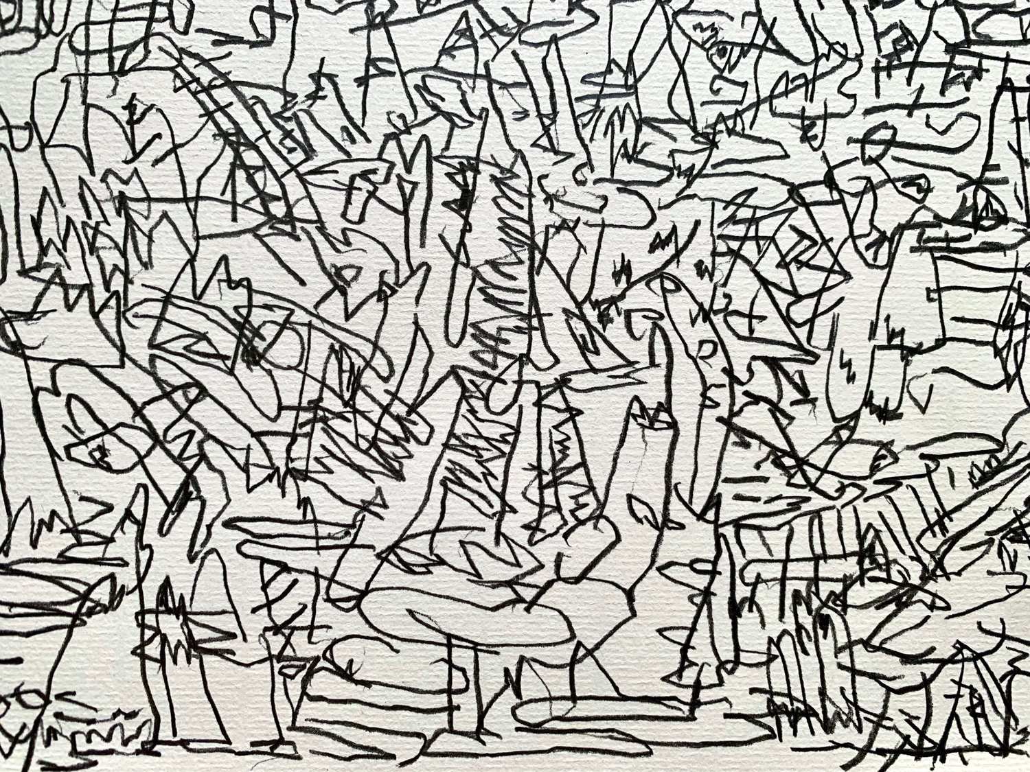 Image of surveying land #1