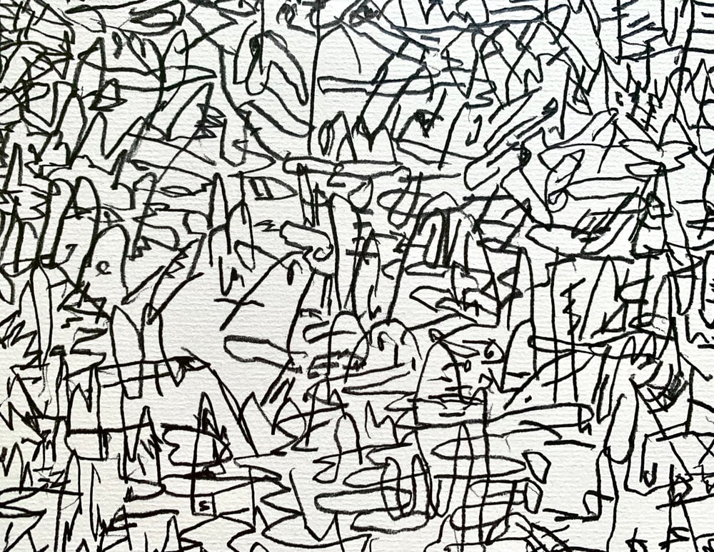 Image of surveying land #1