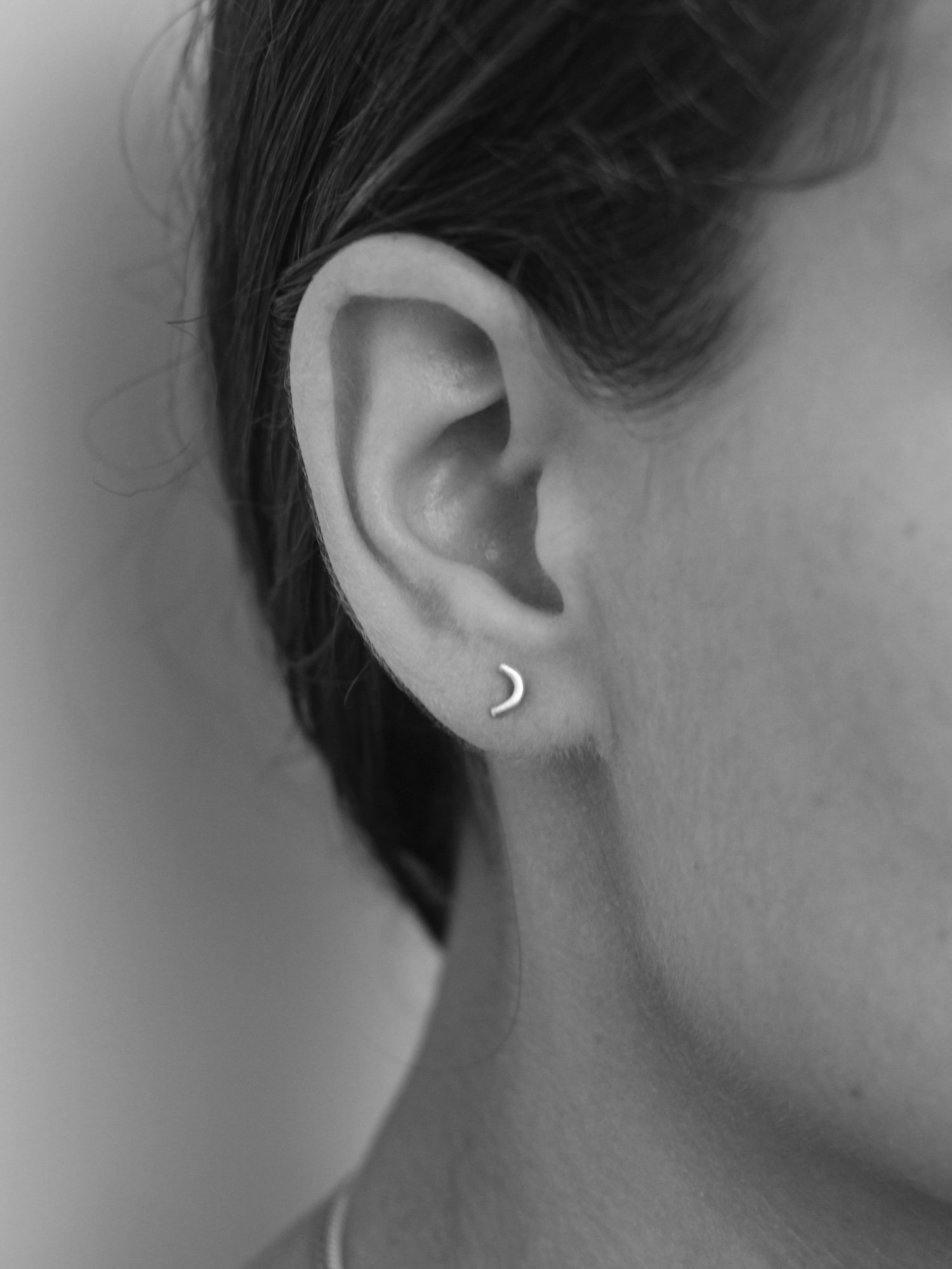 Image of Caju Arc Ear Studs