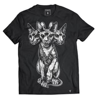 SPHYNX