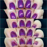 Image 1 of Dazzle