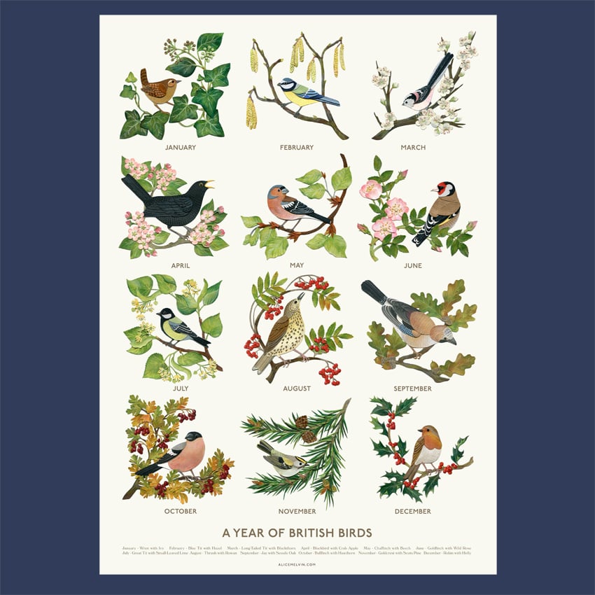 Image of A Year of British Birds - A2 Poster