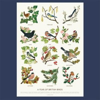 Image 5 of A Year of British Birds - A2 Poster