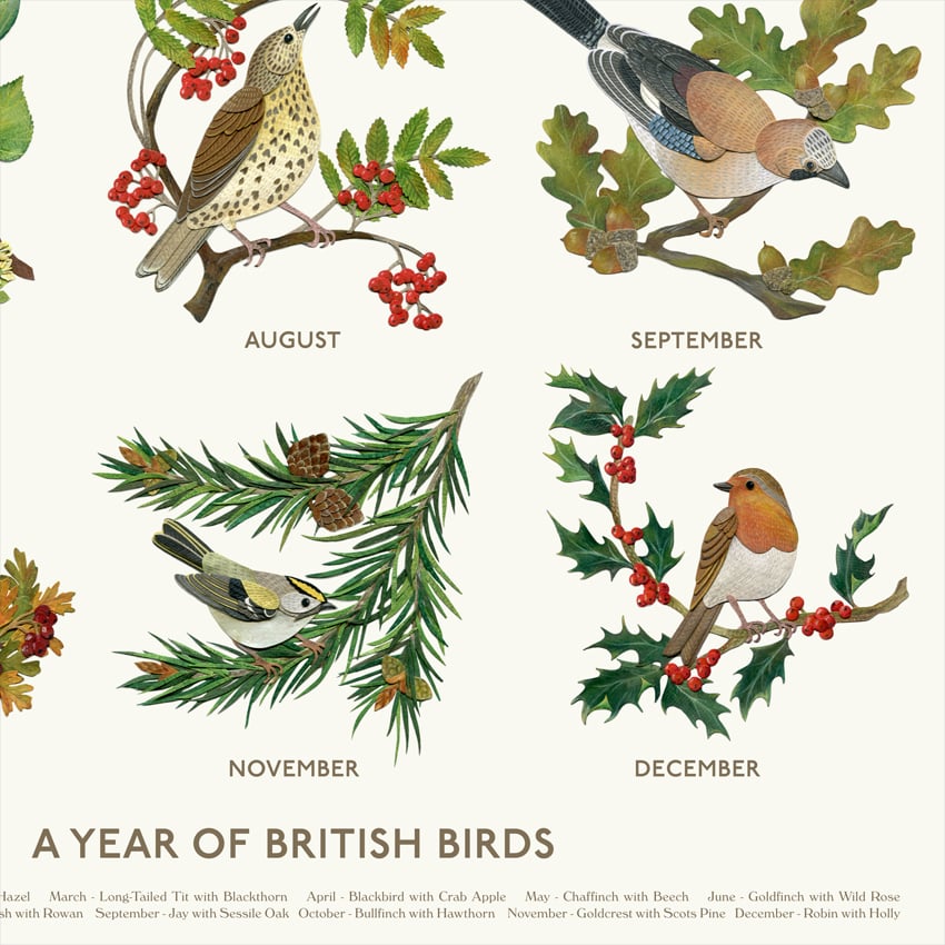 Image of A Year of British Birds - A2 Poster