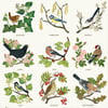 A Year of British Birds - A2 Poster