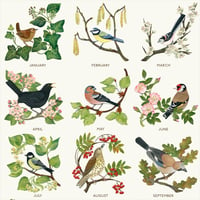 Image 3 of A Year of British Birds - A2 Poster