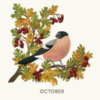 Image 4 of A Year of British Birds - A2 Poster