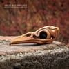 Fancy Bird Skull - Deep Gold