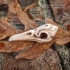 Fancy Bird Skull - Natural