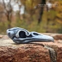 Fancy Bird Skull - Dark Silver