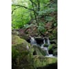 Brinscall Waterfall Print
