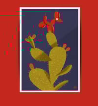 Image 2 of "Spinone"