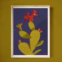 Image 1 of "Spinone"