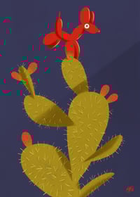 Image 3 of "Spinone"