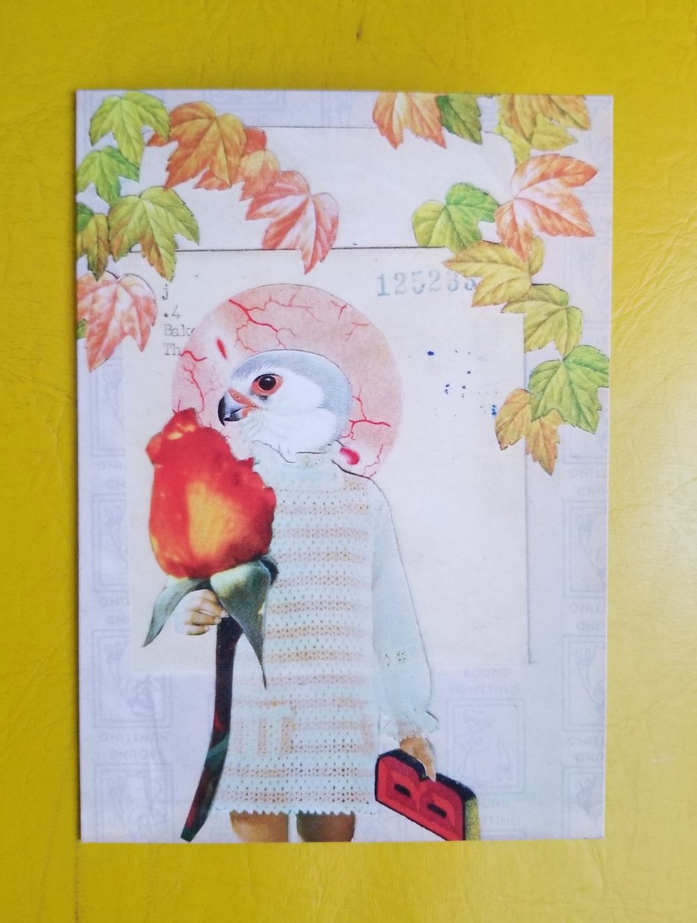 Image of Art Card Combo 7